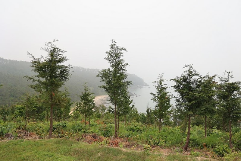 에스이(SE)클럽관광농원야영장 시설 사진 20