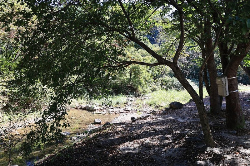 팔현 캠핑1 시설 사진 9