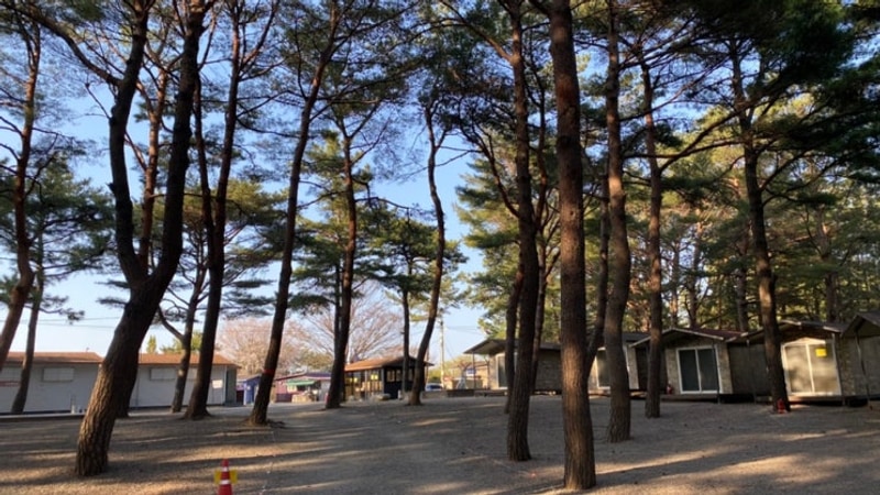 양양캠핑장 바다캠핑장 방갈로