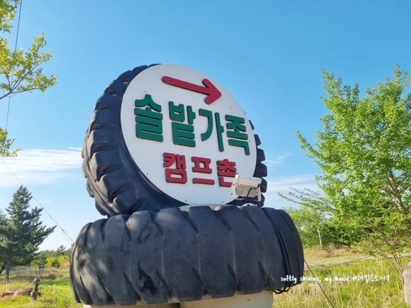 양양 캠핑장 솔밭가족 캠프촌 [79번째 캠핑]