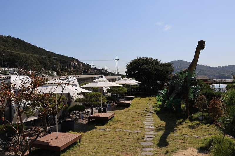 쥬라기 카라반 시설 사진 11