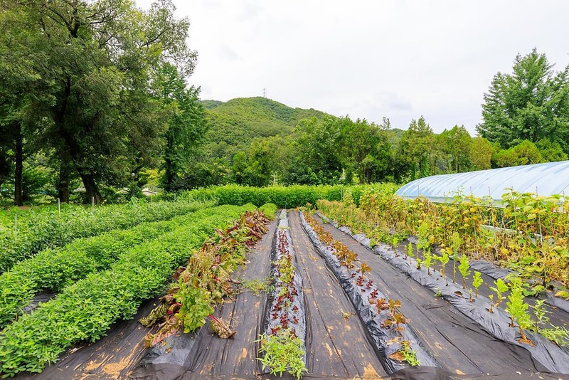 에코팜 부설 오토캠핑장 시설 사진 21