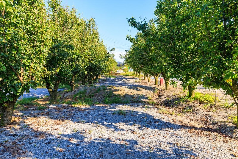 팜앤투어 캠핑장 시설 사진 12
