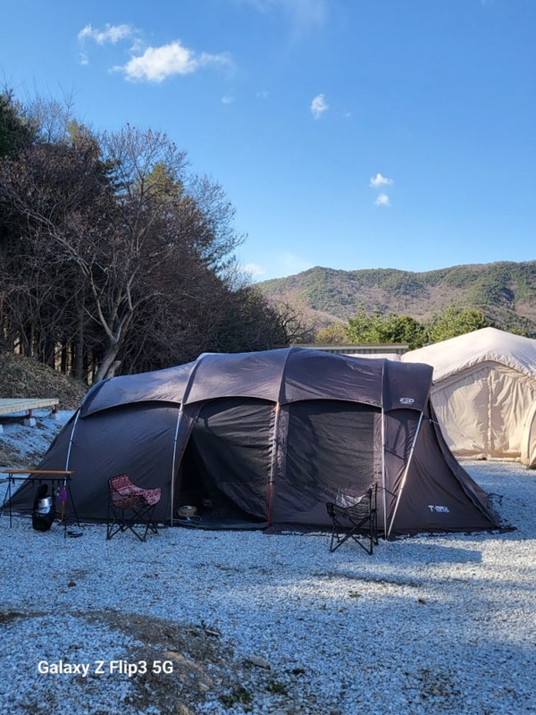 강화   신생  캠핑장 자연과  숲  후기