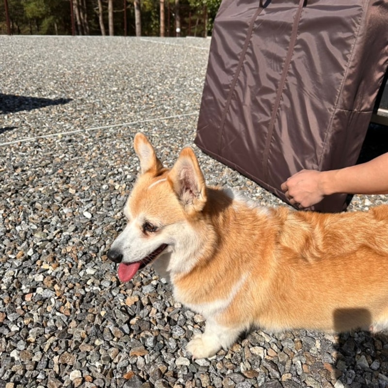 [10/25캠핑일기] 가평 포레스트 소울 캠핑장 A4