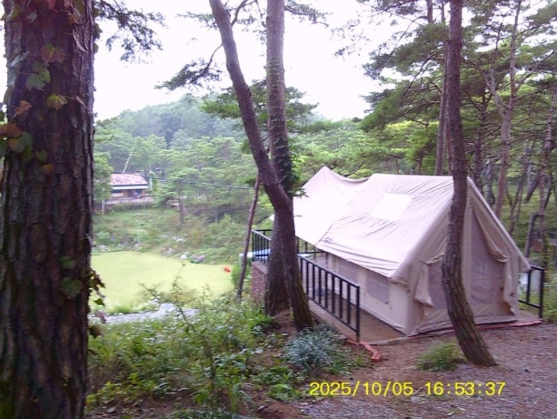 [강원/영월] 한반도솔숲쉼터 캠핑장, 프라이빗 한 데크사이트와...