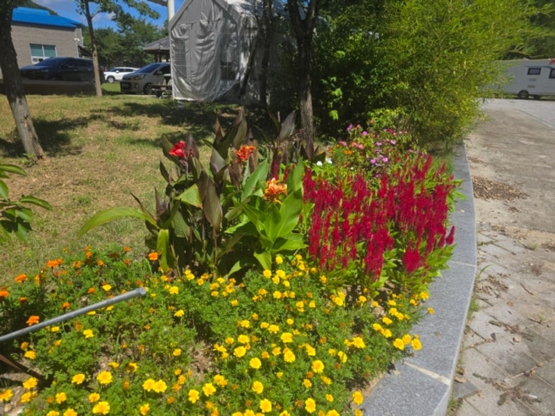 전북 임실 쏘가리낚시 강변사리캠핑장 포인트