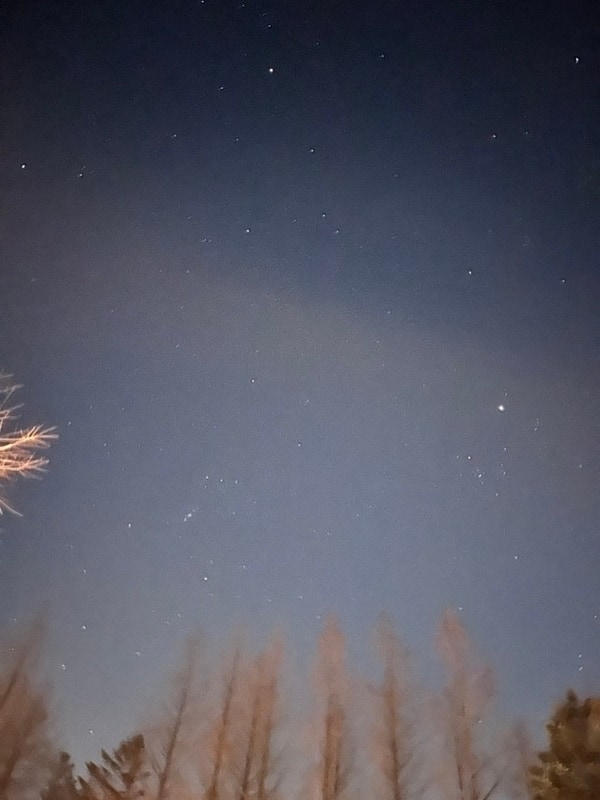 [충남/예산] 스노우라인 캠핑빌리지 C08 후기