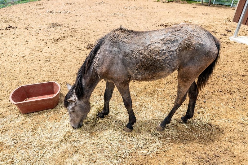 에스글램핑 시설 사진 16