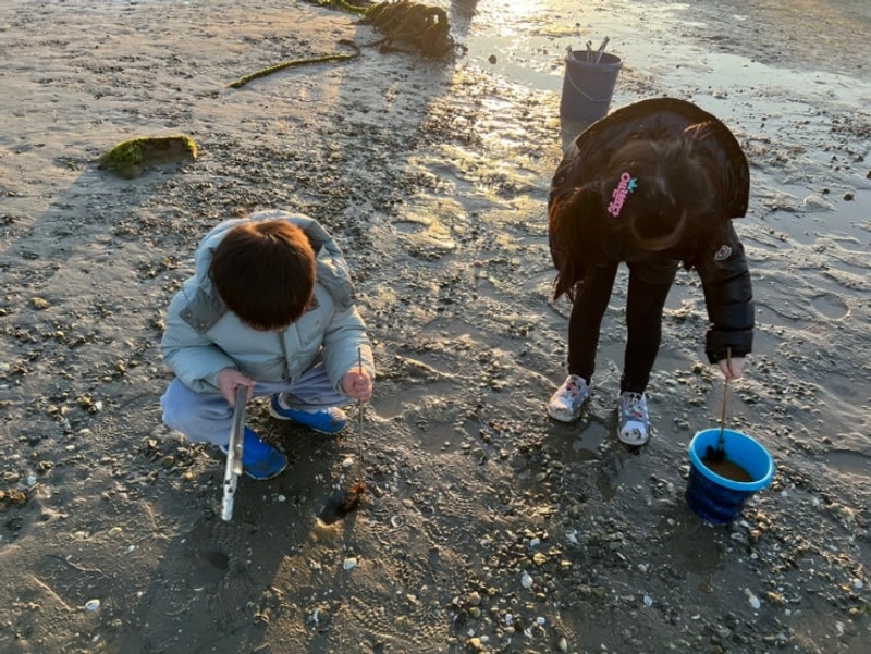 남해 노랑카라반 숙소 리얼 후기, 갯벌체험부터 고카트까지...