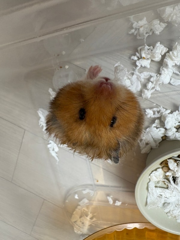 또 가고싶은 포천 키즈 대회산캠핑장 1박2일 G사이트 15번