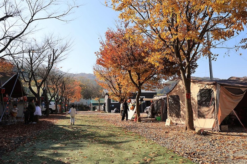 에스원캠프 시설 사진 14