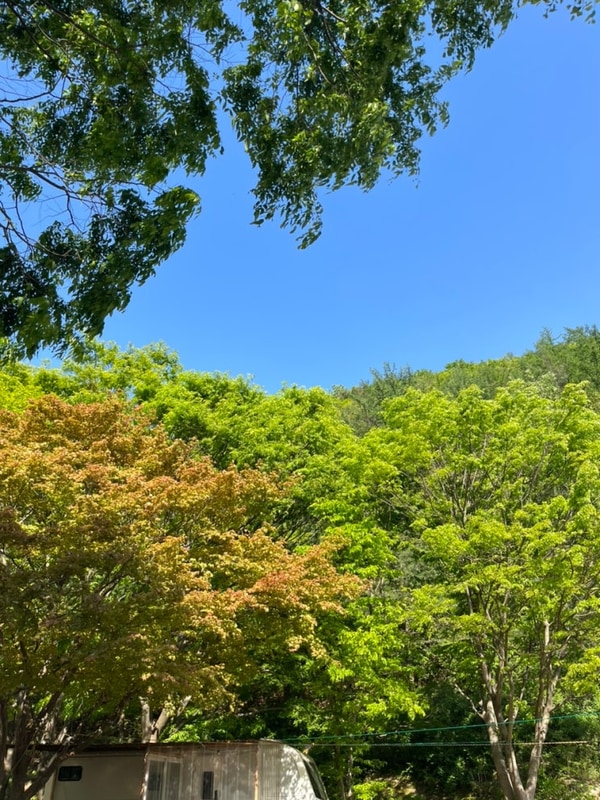 대전 근교 글램핑 ‘대둔산캠핑랜드’ 내돈내산 후기(with...
