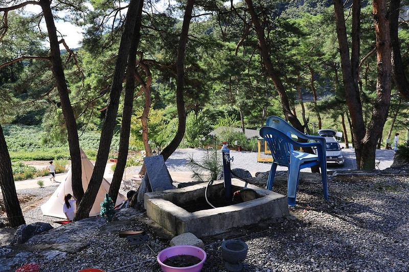 영월한반도캠핑장 시설 사진 10