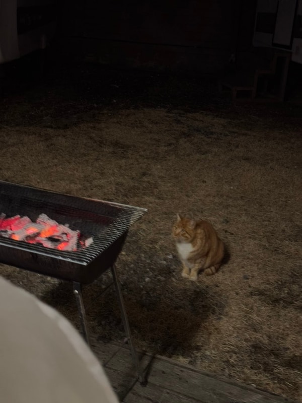 가평여행 남이섬 가평카라반 패밀리가 떴다 ️