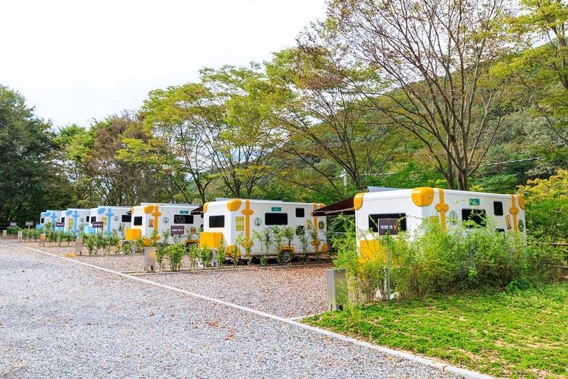 성수산 왕의숲 국민여가캠핑장 시설 사진 10
