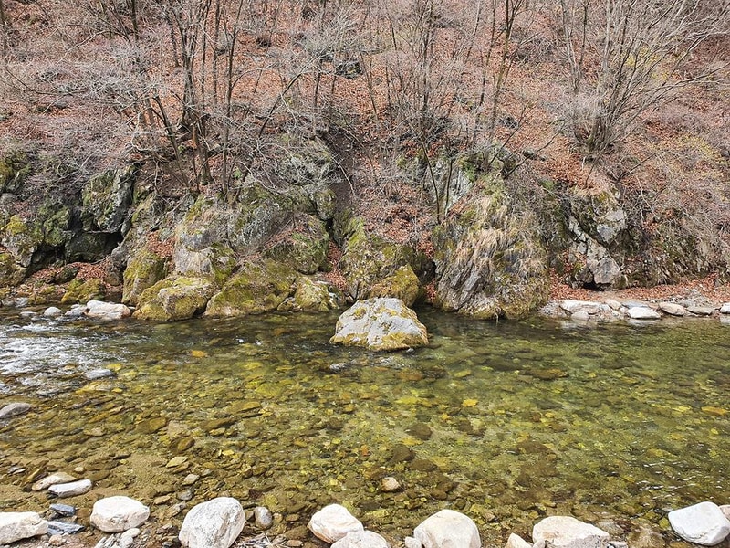 포레스트힐링캠프 시설 사진 42