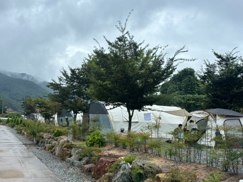 가을캠핑 부산근교캠핑 대구근교캠핑 우니메이카 밀양점 1박...