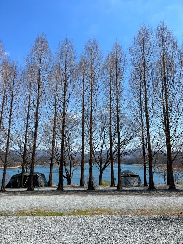 제천 청풍호반_ 캠핑