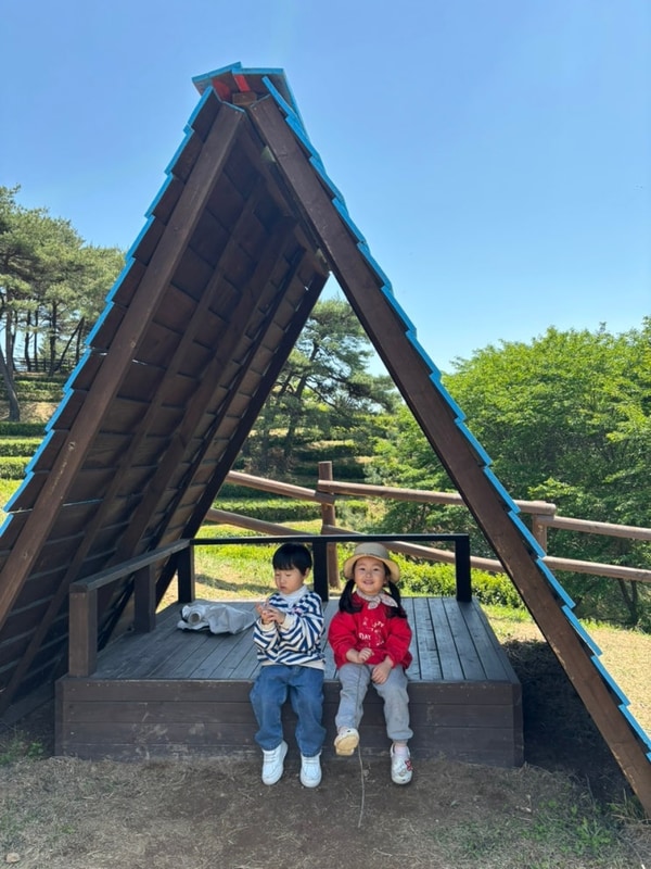 보성 여행 디노 글램핑 2박 3일 기록!