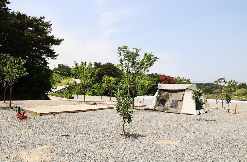 월든캠프 시설 사진 15