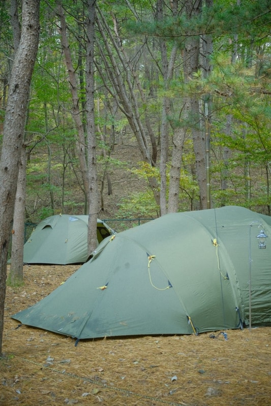 [충북 캠핑장]속리산 사내리 캠핑장️
