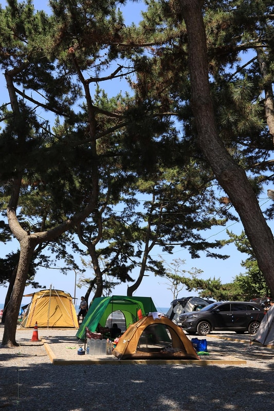 몽산포오토캠핑장 시설 사진 14