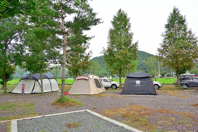 유곡면 농촌체험랜드 시설 사진 13