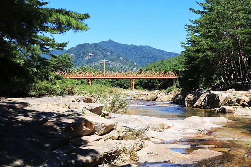 숲속의아침 시설 사진 10