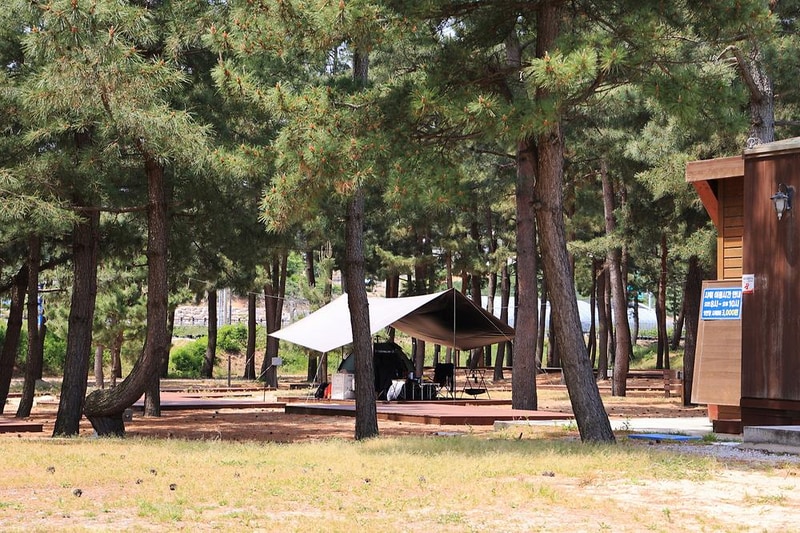 북분솔밭캠핑장 시설 사진 12