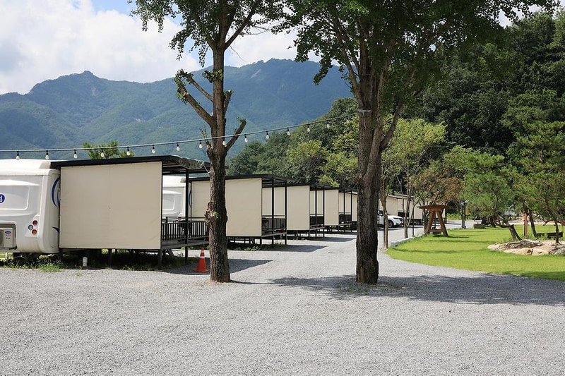 더존 관광농원 시설 사진 11