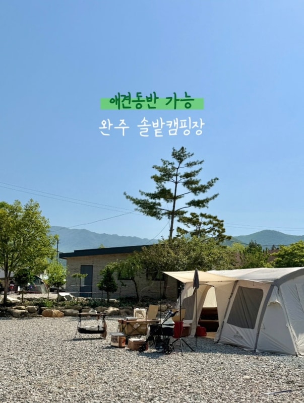 전북 완주 애견동반 가능한 솔밭캠핑장 후기
