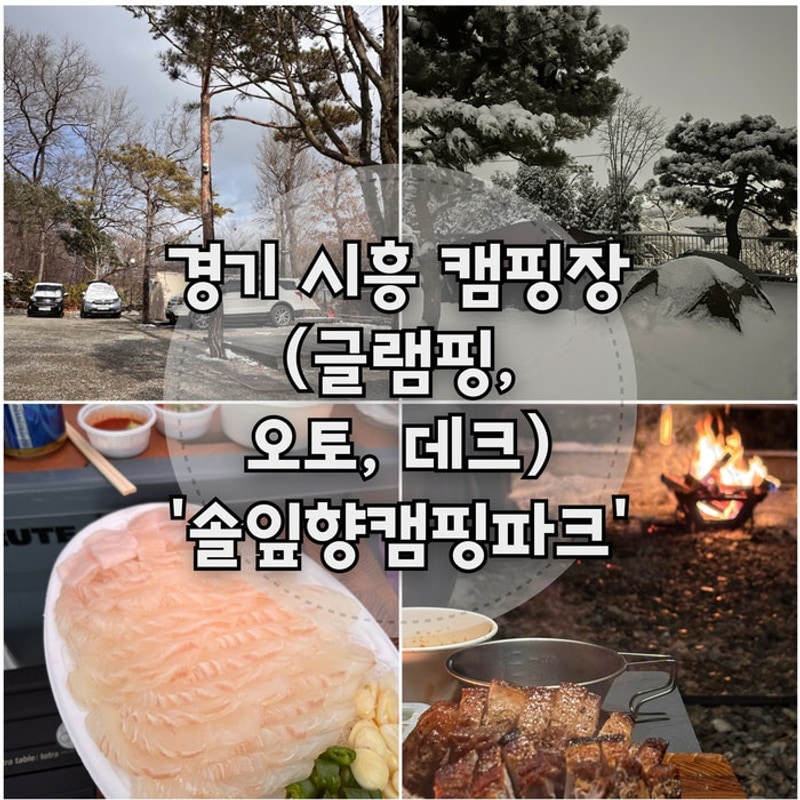 서울 근교 캠핑장_시흥 '솔잎향캠핑파크' (글램핑, 오토, 데크)