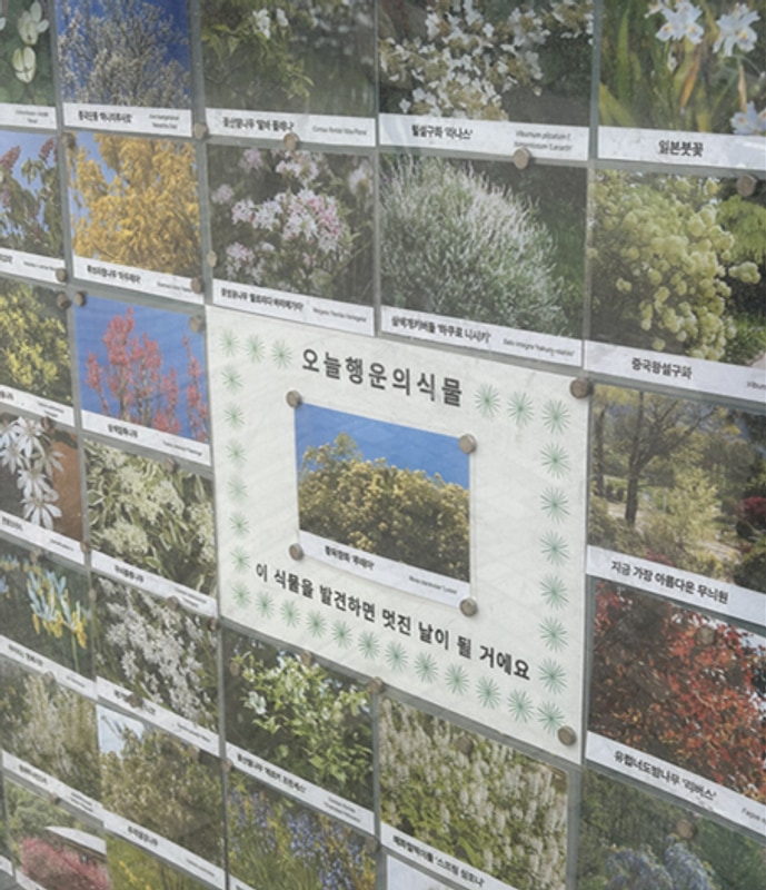 태안맛집. 신태루. 태안 바다풍경카라반&글램핑.