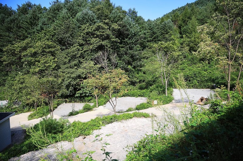 홍천높은터캠핑장 시설 사진 4