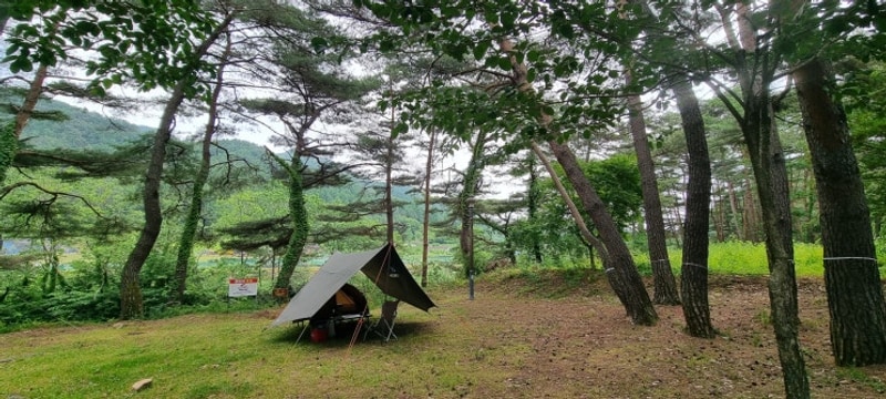 속리산, 계곡옆 숲속의 상주 문장대야영장 하룻밤
