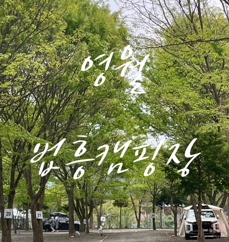 영월 법흥캠핑장, 키즈캠핑장인가???