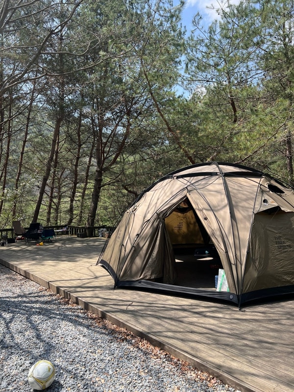 로보텍 텐트 조용하게 잘 쉬다온 강원도 무릉도원 영월캠프...