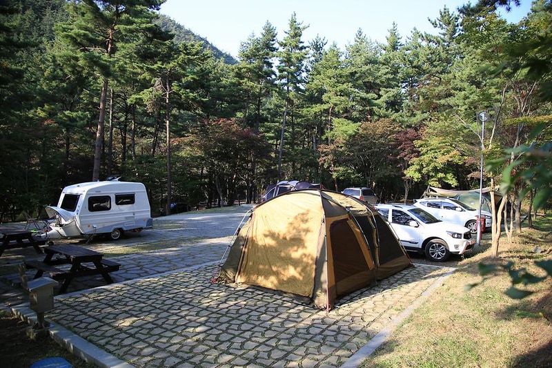 희리산해송자연휴양림 자동차야영장 시설 사진 6