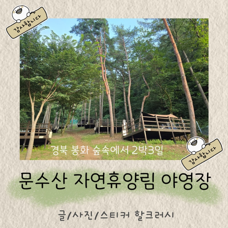 경북 봉화 문수산 자연휴양림 야영장 주변 환경과 데크 정보