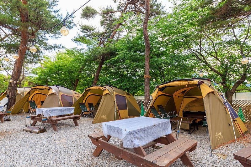 포시즌오토캠핑장 시설 사진 1