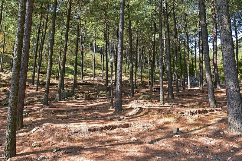 제암산자연휴양림 야영장 시설 사진 9