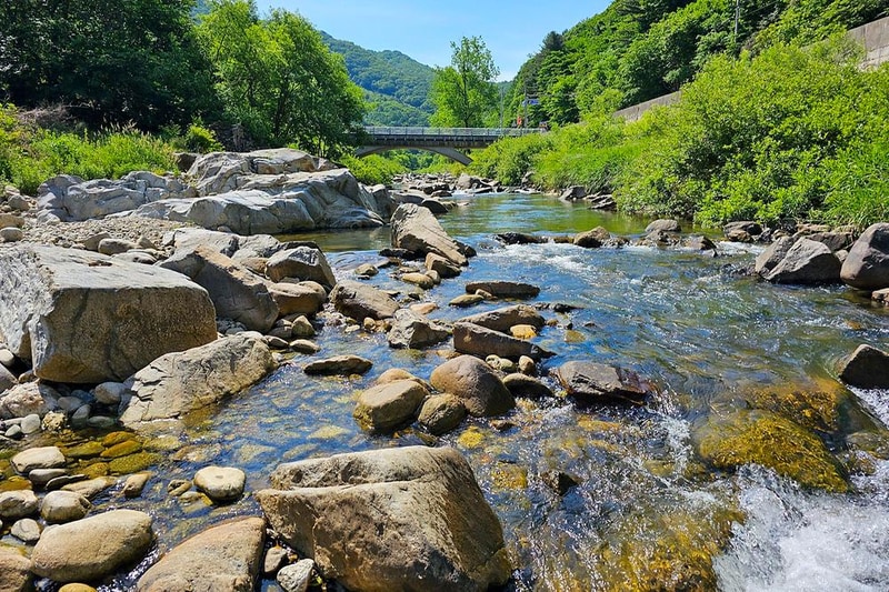 무심골 캠핑장 시설 사진 14