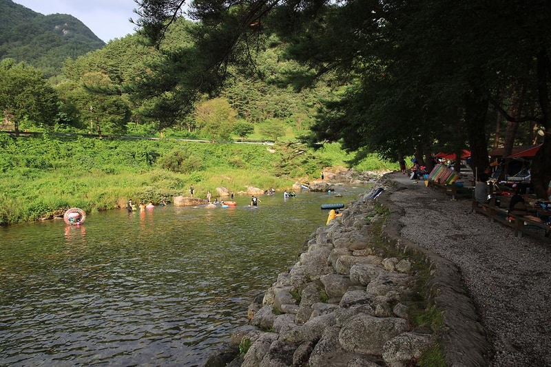 내리계곡 솔밭캠핑장 시설 사진 23