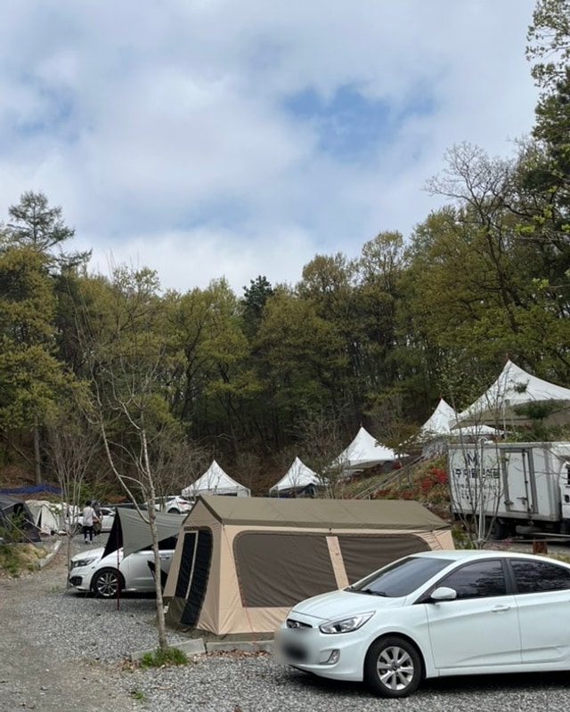 [음성] 더봄날 캠핑장 (A-1사이트) / 애견동반가능캠핑장...