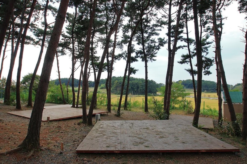 서천 늘푸른캠핑장 시설 사진 4