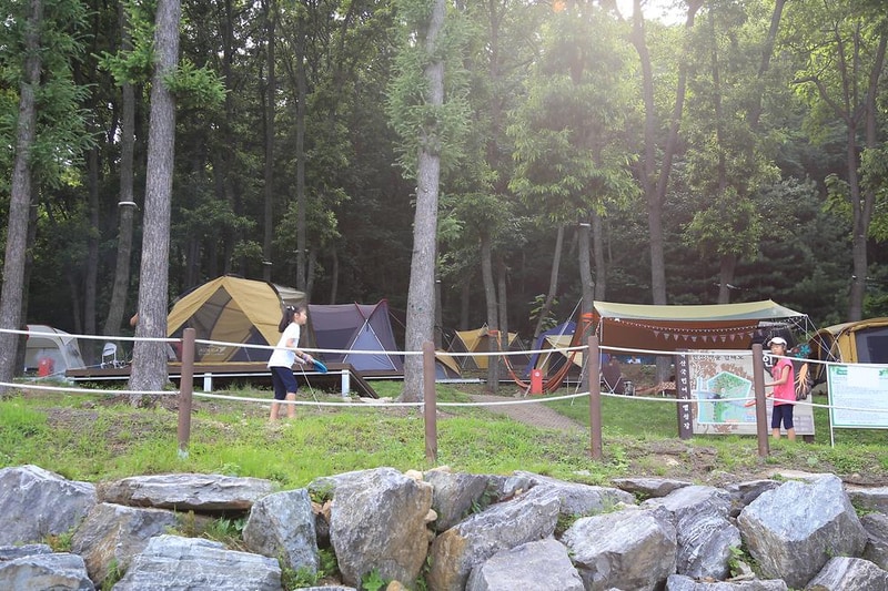 덕산국민여가캠핑장 시설 사진 35