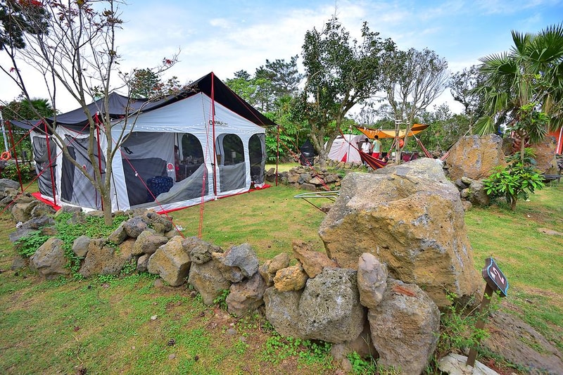 비체올린 시설 사진 4