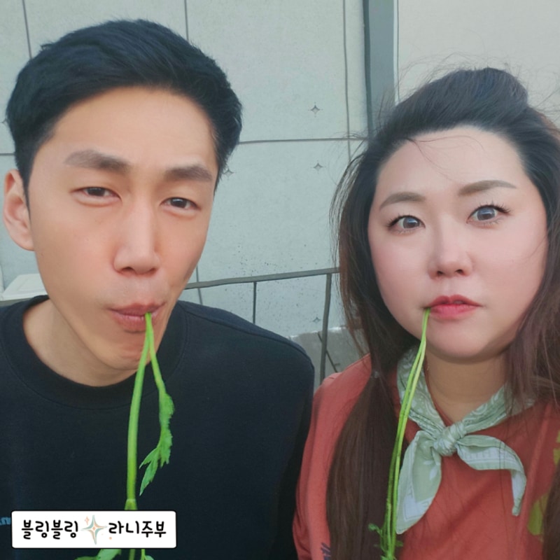 경북캠핑장, 청도지오오토캠핑장 추천드려요