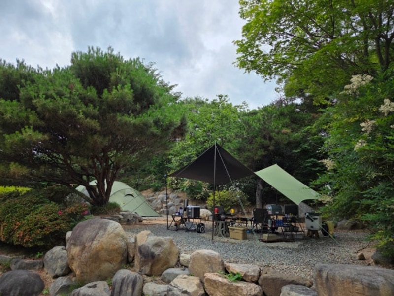 숲속수목원 캠핑장          경주 :무릉관광농원 캠핑장